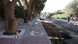 Kartal Belediyesi'nden Yarım Asırlık Ağaçlara "Nefes Borusu" Uygulaması 