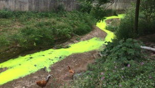 Tuzla'da, Kimyasal Atıklar Dere'ye Boşaltıldı!