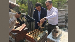 Arıcılık Akademisi Eğitimleri Başladı