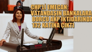 CHP'li Emecan:Vatandaşın Bankalara Borcu 132 Katına Çıktı