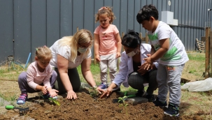 Kartallı Minikler, Yerli ve Organik Tarımın Önemini Hobi Bahçelerinde Öğreniyor