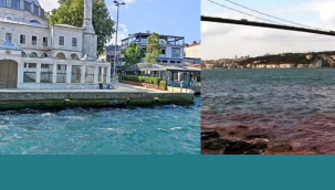 Bu Kurban Bayramı'nda Boğaz Kırmızıya Boyanmadı