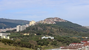 Ormanlık Alanlara Girişler Yasaklandı