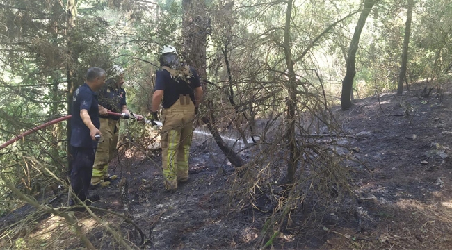 Aydos Ormanı'nda çıkan Yangın Önlendi 