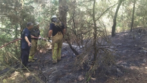 Aydos Ormanı'nda çıkan Yangın Önlendi 