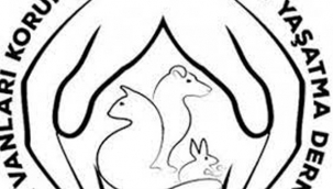 HAYKURDER "Meclis İradesi Gasp Edildi! Kanun Uygulanmıyor" 