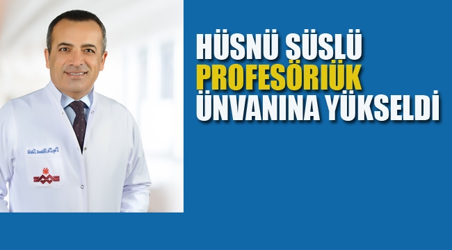 Hüsnü Süslü, Akademik Olarak Profesörlük Ünvanına Yükseldi