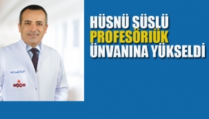 Hüsnü Süslü, Akademik Olarak Profesörlük Ünvanına Yükseldi