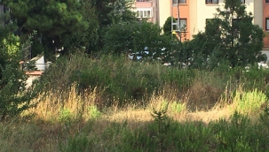 Kartal'da Temizlenmeyen Otlar Tehlike Saçıyor