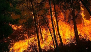 Türkiye, Yangın Konusunda AB'den Yardım İstedi