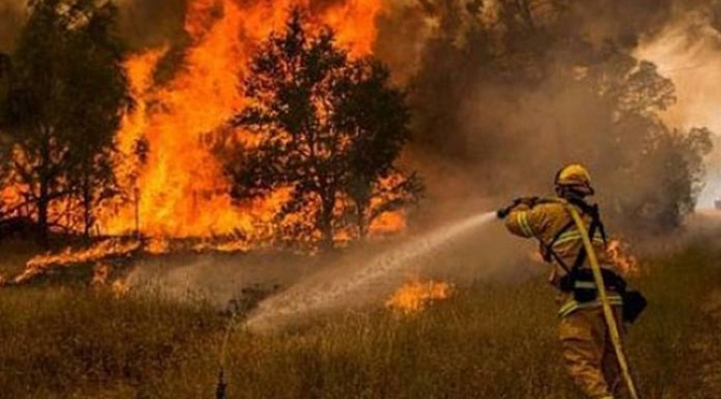 Yangın Bölgesinde Zor Şartlarda Çalışan Orman İşçileri : Feryadımızı Duyun!