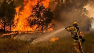 Yangın Bölgesinde Zor Şartlarda Çalışan Orman İşçileri : Feryadımızı Duyun!