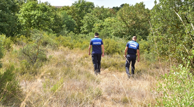 Tuzla Zabıtası Ormanlık Alanları Denetledi