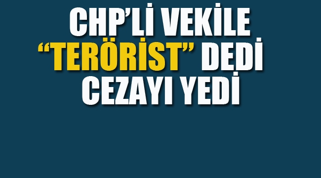 CHP'li Vekile "Terörist" Dedi Cezayı Yedi