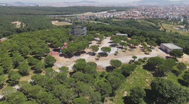 Anadolu Yakası'na İlk Kent Ormanı Geliyor