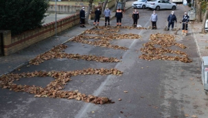 Kartal Belediyesi İşçileri, Atatürk'ün Adını Yapraklarla Sokağa Yazdı 