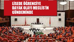 Lisede Öğrenciye Dayak Olayı Meclis Gündeminde