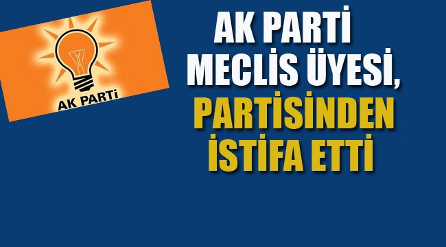 Ak Parti Meclis Üyesi, Partisinden İstifa Etti