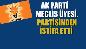 Ak Parti Meclis Üyesi, Partisinden İstifa Etti