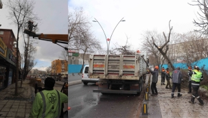 Kartal Belediyesi'nden, Kar Yağışı ve Olumsuz Koşullarından Etkilenen Ağaçlara Müdahale