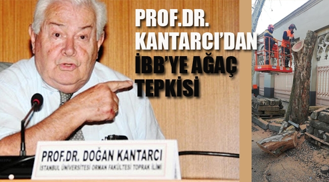 Prof. Dr. Doğan Kantarcı'dan İBB'ye Ağaç Tepkisi " Çınarların Kesilmesi Tartışmalı"