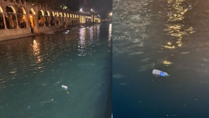 Kirlilikten Geçilmeyen Balıklıgöl'de Balıklar Ölüyor