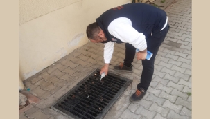 Maltepe'de Sivrisinekle Mücadele