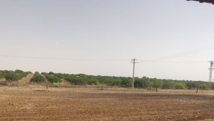 CHP'li Vekil "Derhal Baskın Yapılsın!"