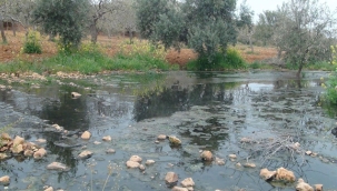 CHP'li Tanal'ın Şikayeti Sonuç Verdi