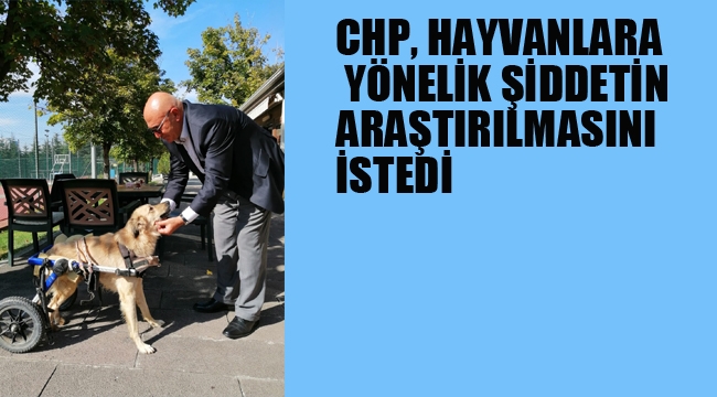 CHP, Hayvanlara Yönelik Şiddetin Araştırılmasını İstedi