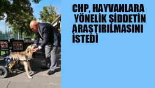 CHP, Hayvanlara Yönelik Şiddetin Araştırılmasını İstedi