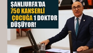 Şanlıurfa'da 750 Kanserli Çocuğa 1 Doktor Düşüyor!