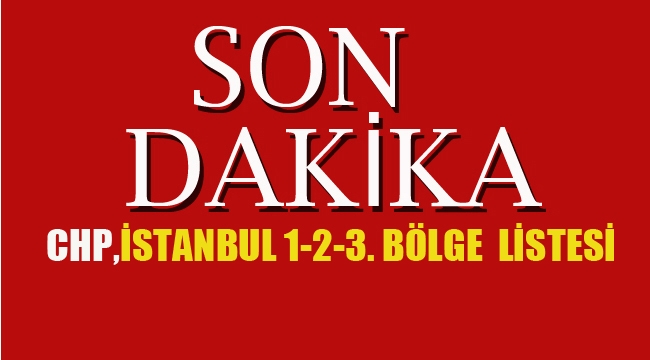 İstanbul 1.2.3. Bölge Milletvekili Listesi Belli Oldu
