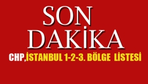 İstanbul 1.2.3. Bölge Milletvekili Listesi Belli Oldu