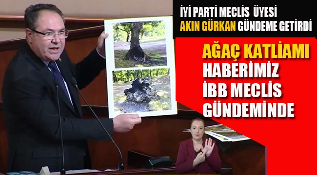 Ağaç Katliamı Haberimiz, İBB Meclis Gündeminde 