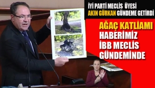 Ağaç Katliamı Haberimiz, İBB Meclis Gündeminde
