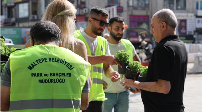 Maltepe'de Evler Fesleğen Kokacak 