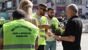 Maltepe'de Evler Fesleğen Kokacak