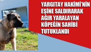 Yargıtay Hakimi'nin Eşine Saldırarak Ağır Yaralayan Köpeğin Sahibi Tutuklandı