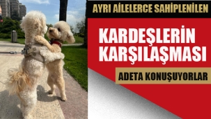 Ayrı Ailelerce Sahiplenilen, İki Kardeşin Duygulandıran Karşılaşması