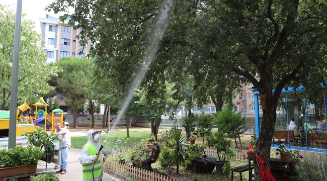 Kartal Belediyesi'nden Park Bahçe ve Ağaçlarda İlaçlama Çalışması 
