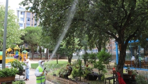 Kartal Belediyesi'nden Park Bahçe ve Ağaçlarda İlaçlama Çalışması