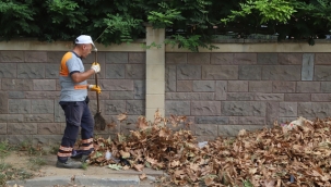 Kartal Belediyesi'nden Sonbahar Temizliği