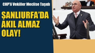 Şanlıurfa'da Akıl Almaz Olay!
