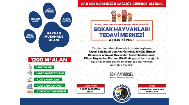 Kartal Belediyesi Sokak Hayvanları Tedavi Merkezi Açılıyor