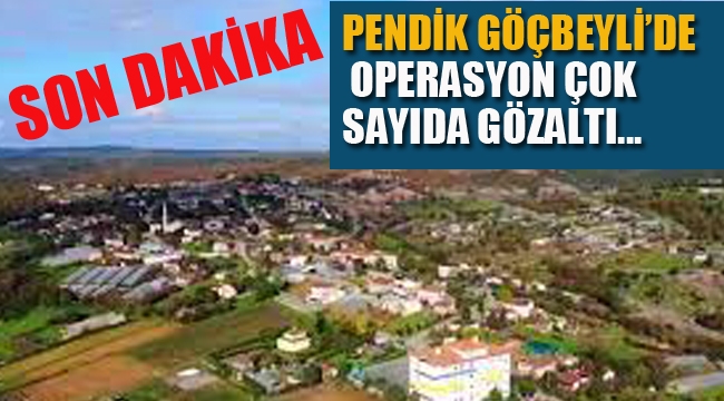 Pendik Göçbeyli'de Operasyon, Çok Sayıda Gözaltı