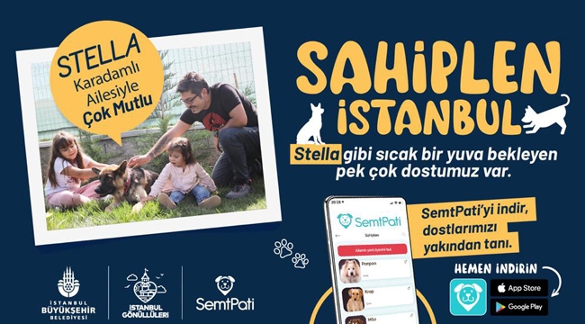 "Sahiplen İstanbul" İle Dostlarımız Yeni Yuvalarına Kavuşuyor