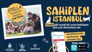 "Sahiplen İstanbul" İle Dostlarımız Yeni Yuvalarına Kavuşuyor