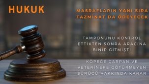 Köpeğe Çarpan ve Kaçak Sürücü Hakkında Karar!