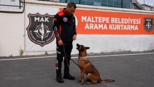 Maltepe'nin Can Dostları Arama-Kurtarma Köpeği Oluyor